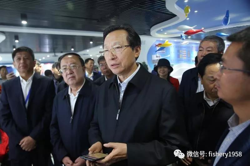 1540805056609049818.jpg 2.jpg