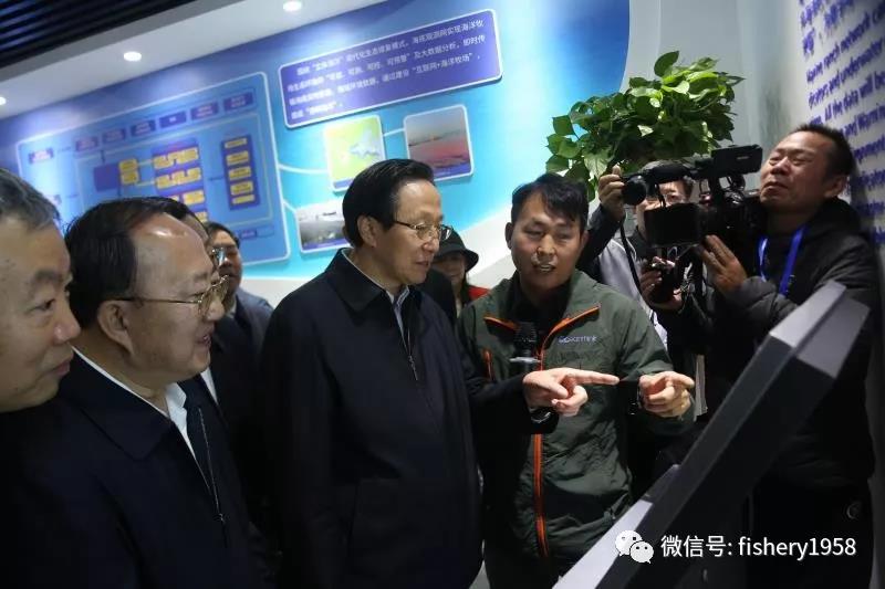 1540805094125007820.jpg 3.jpg