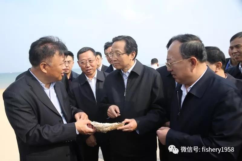 1540805175875077071.jpg 5.jpg